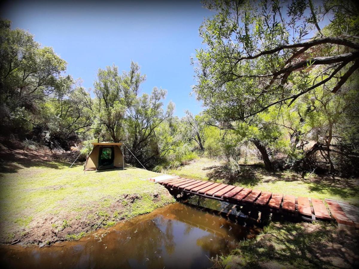 Lylius Cottage And Campsites Clanwilliam Buitenkant foto