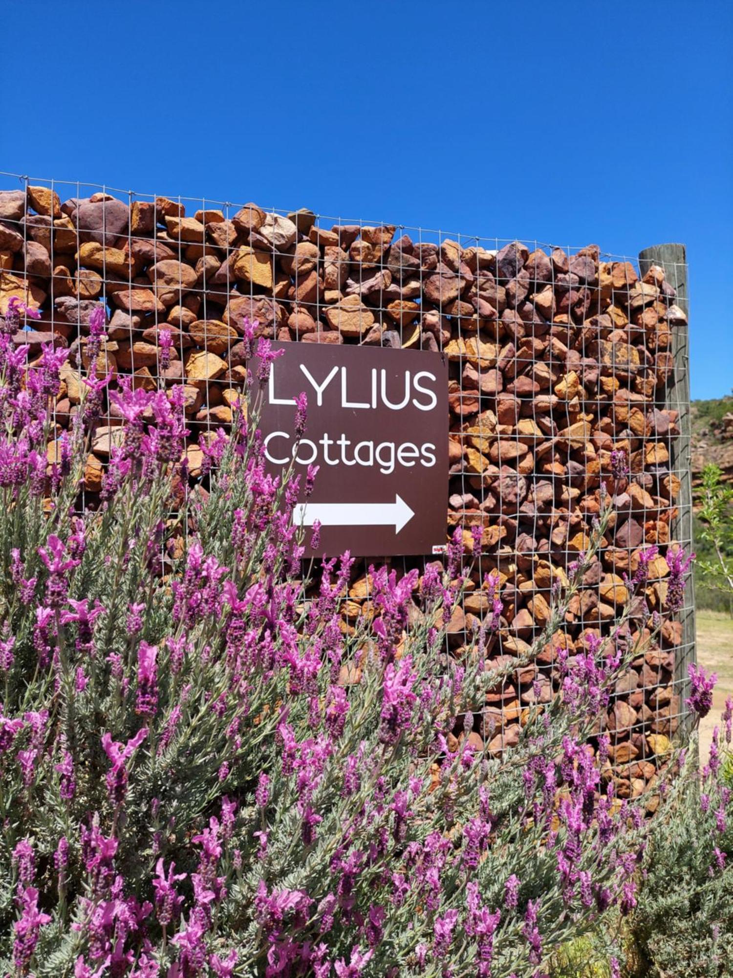 Lylius Cottage And Campsites Clanwilliam Buitenkant foto