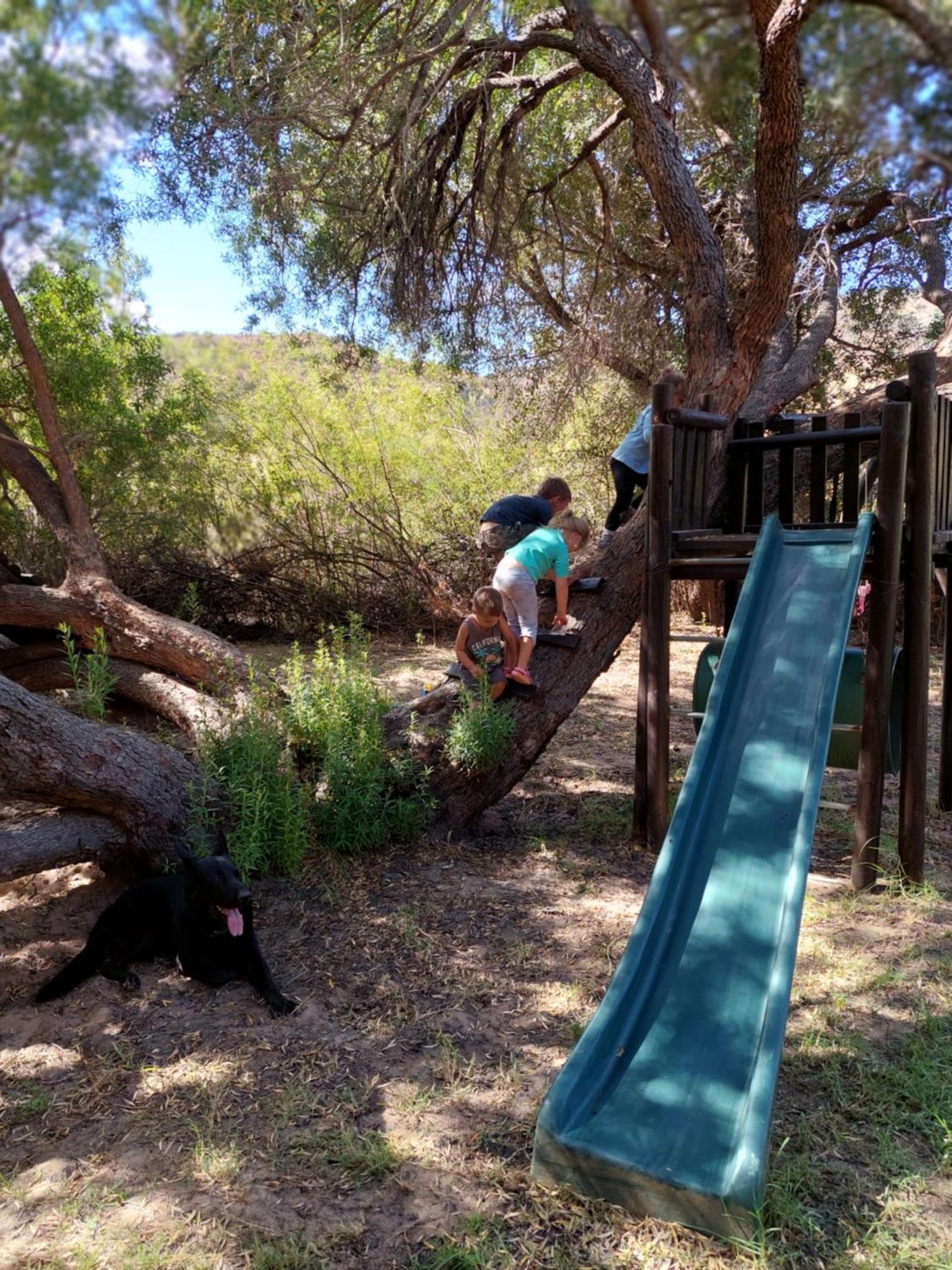 Lylius Cottage And Campsites Clanwilliam Buitenkant foto