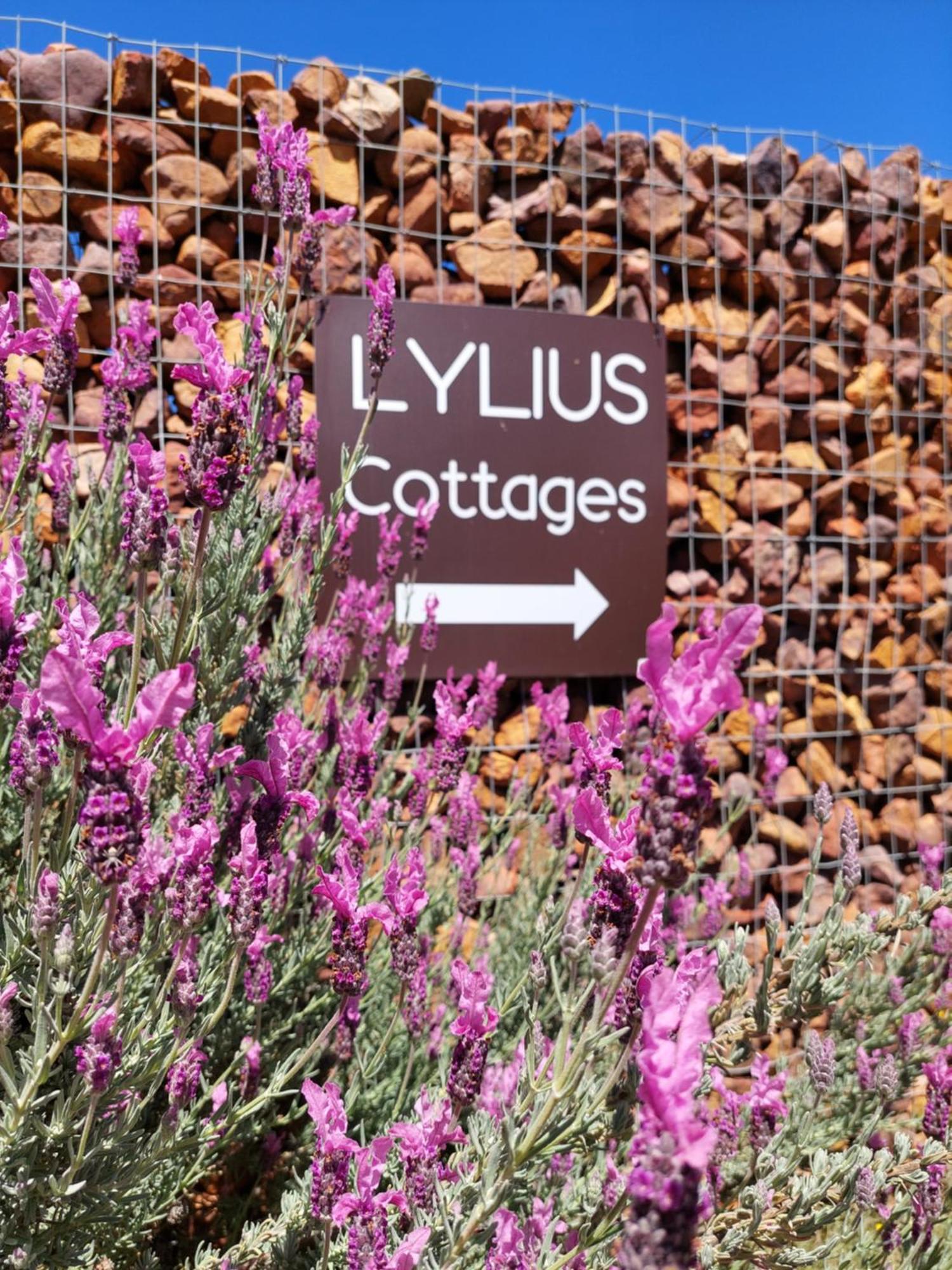 Lylius Cottage And Campsites Clanwilliam Buitenkant foto